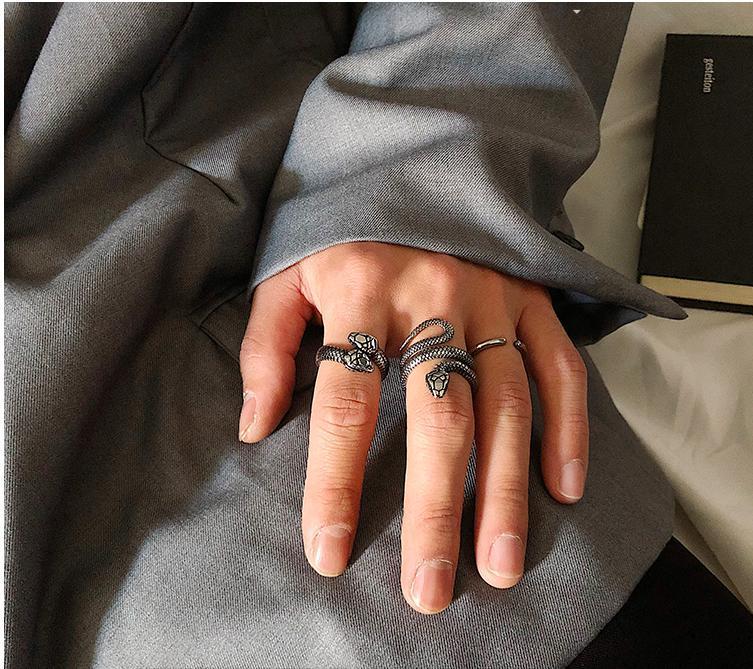 Titanium Snake Ring ArtsKoreanMan